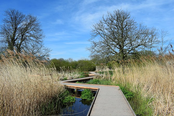London's Best Kept Secret Bike Tour - The ancient village feel, tall tree, wildlife ponds, and a 17th-century pub