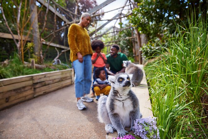 London Zoo Entry Ticket - Getting your money’s worth at London Zoo