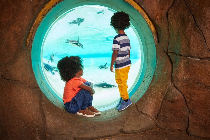 London Zoo Entry Ticket - Maps, signposting, and the honest reality of a big zoo