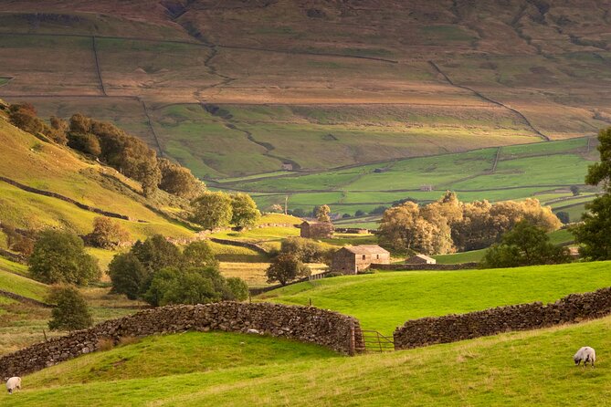 Luxury Private Yorkshire Dales National Park Tour - Key highlights to know before you go