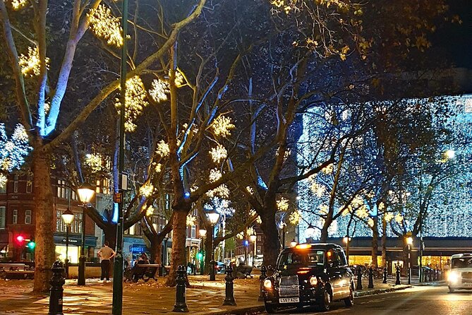Magical Christmas Lights in London: Private Black Cab Tour - Who This Tour Fits Best