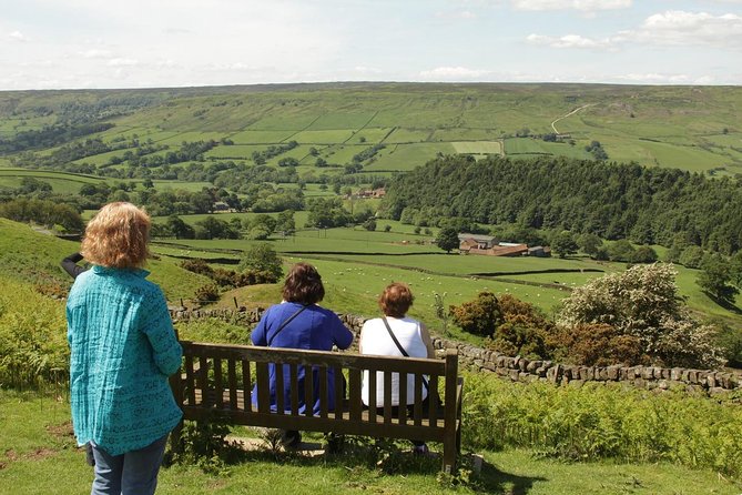Moors, Whitby & The Yorkshire Steam Railway Day Trip from York - Comfort and pacing: what the small minicoach changes