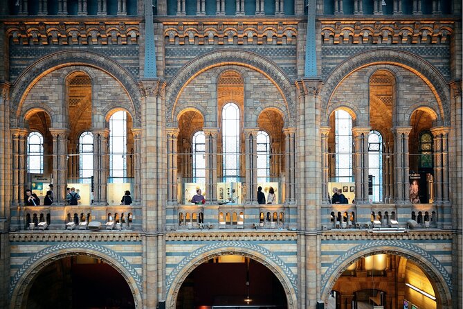 Natural History Museum London Audio Tour with Free Entry Ticket - Price and what you really get for your money