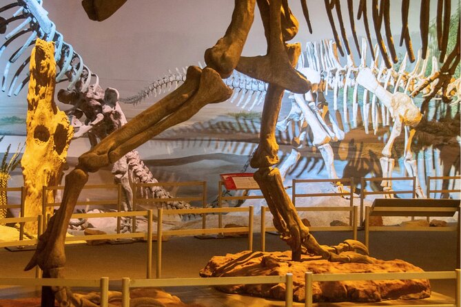 Natural History Museum London Audio Tour with Free Entry Ticket - Who this audio package suits best