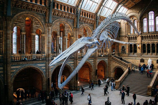 Natural History Museum London - Exclusive Guided Museum Tour - Key highlights at a glance