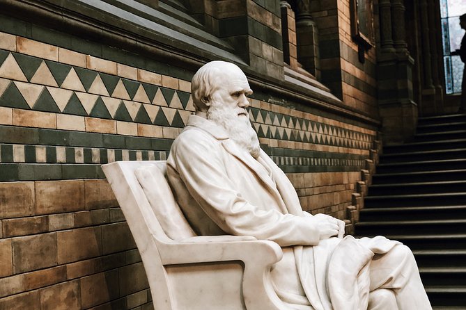 Natural History Museum London - Exclusive Guided Museum Tour - Why a guide is worth it here, even if you like museums