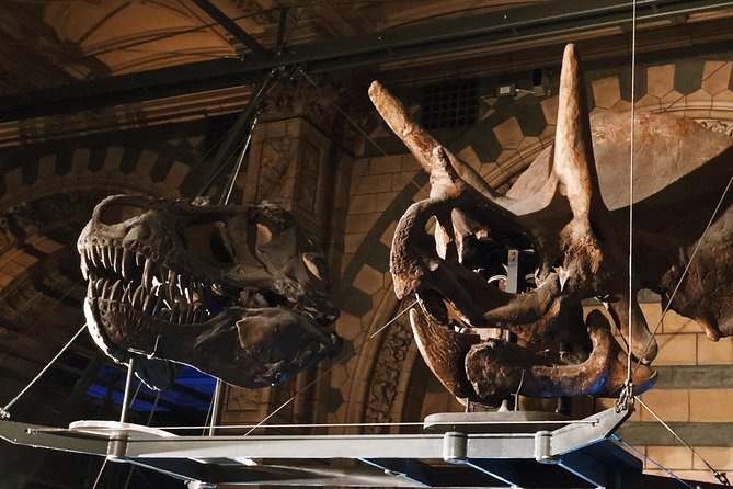 Natural History Museum London - Exclusive Guided Museum Tour - Private tour feel, and how to get the right option