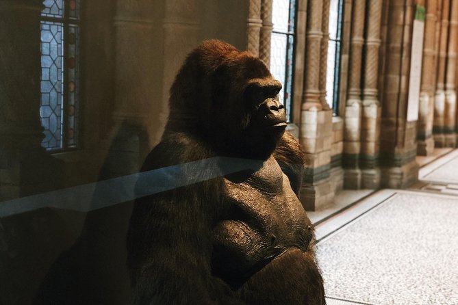 Natural History Museum London - Exclusive Guided Museum Tour - Price and value: is $108.49 per person a good deal?
