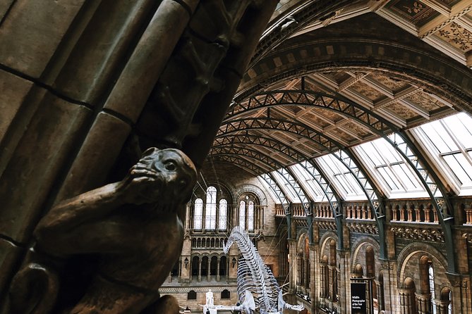 Natural History Museum London - Exclusive Guided Museum Tour - Who this tour is best for