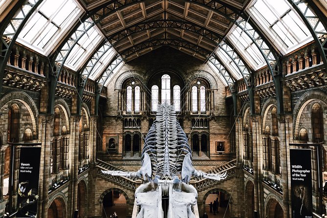 Natural History Museum London Guided Tour Semi-Private 8ppl Max - Key things to know before you go