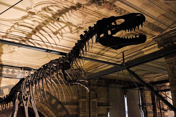 Natural History Museum London Guided Tour Semi-Private 8ppl Max - Who this tour suits best