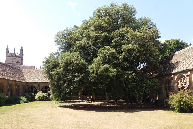 New College Oxford Harry Potter Insights PRIVATE TOUR Daily - Who should book this private New College and Harry Potter insights tour