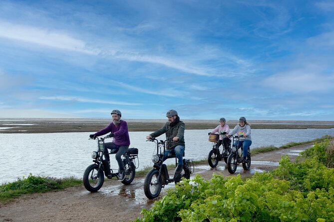 New Forest E-Bike Adventure - Key Highlights at a Glance
