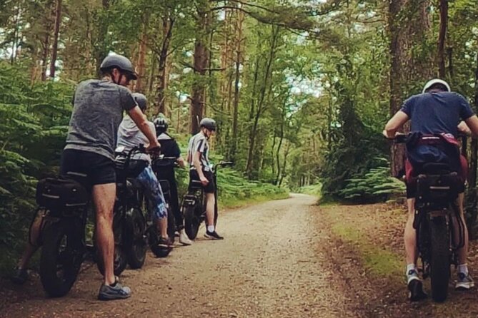 New Forest E-Bike Adventure - New Forest Riding: Woodlands, Heathland, and Wildlife Encounters