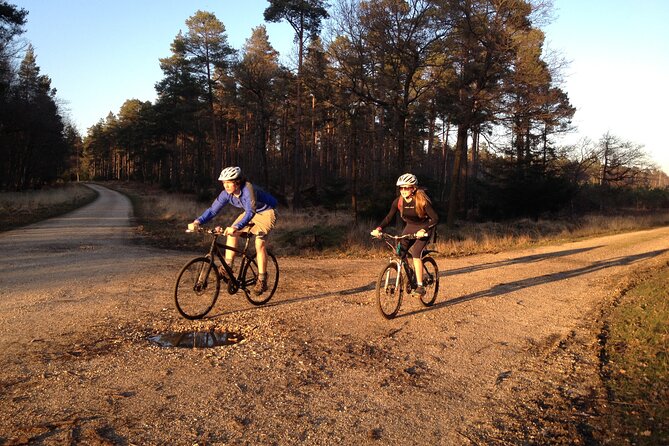 New Forest Sunset Bike Rides - Key highlights to know before you go