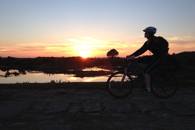 New Forest Sunset Bike Rides - Sunset cycling in Brockenhurst, when the forest changes