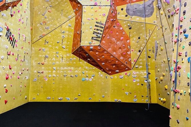 North Devon: Indoor Climbing Taster Session - Key things that make this taster worth your time