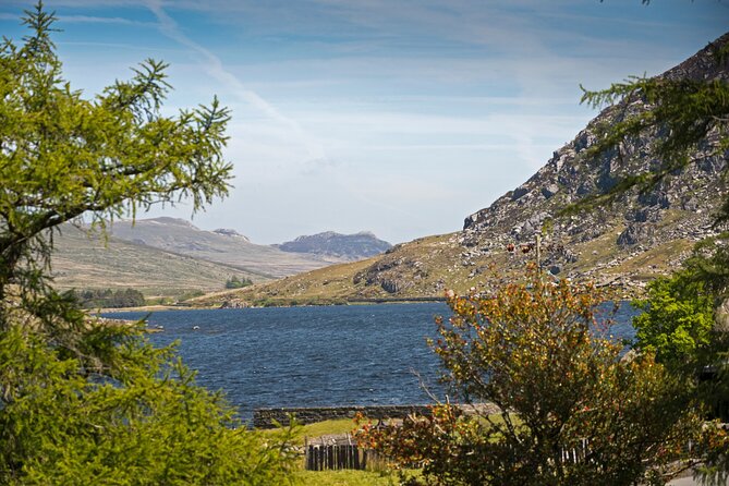 North Wales & Caernarfon Castle Full-Day Tour from Manchester - Who should book this North Wales trip