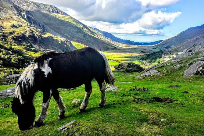 North Wales Sightseeing Adventure Day Trip from Manchester - Why this North Wales trip beats a simple car hire