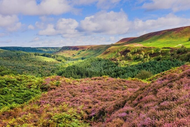 Nth York Moors National Park & Whitby Small Group Day Trip. - A Small-Group Day From York Into North Yorkshire