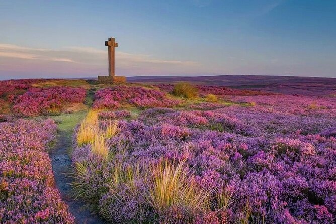 Nth York Moors National Park & Whitby Small Group Day Trip. - Meet Greg, the Minibus Route, and the Rhythm of Photo Breaks