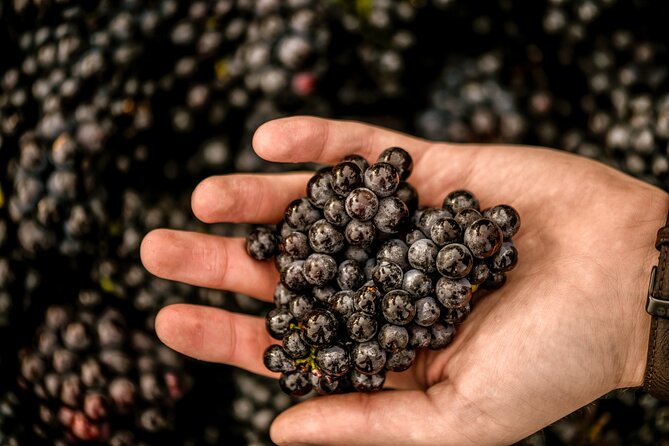 Owners vineyard tour and tasting at Oastbrook - Time With Nick in the Tasting Barn: Seeing the Wine-Making Perspective