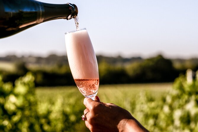 Owners vineyard tour and tasting at Oastbrook - Who Should Book This Tour (And Who Might Prefer Something Else)