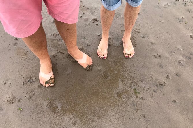 Pilgrims' Path walk across the sands to Holy Island - Key things to know before you book