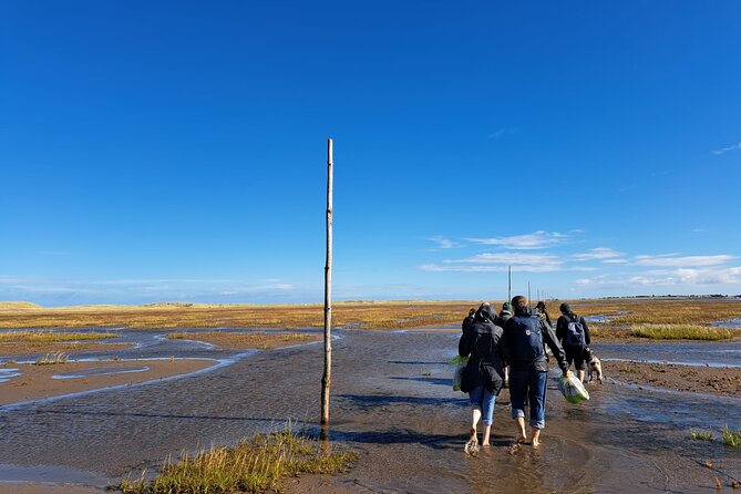Pilgrims' Path walk across the sands to Holy Island - Why this Pilgrims’ Path crossing feels different