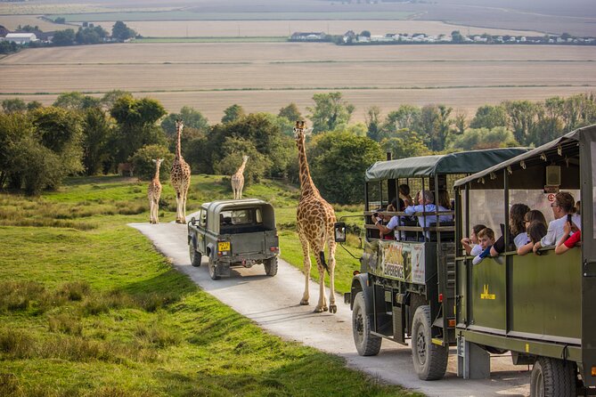 Port Lympne Day Ticket - Key things to know before you go