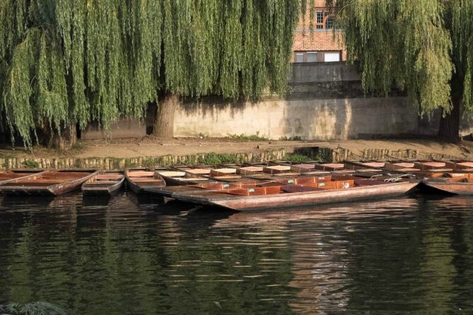 Private Cambridge Punting Tour - The College Backs Stretch and the 7 Colleges Moment
