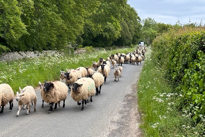 Private Day Tour from Bath to the Captivating Cotswolds - Lunch in a historic country inn, then secret-ish village time