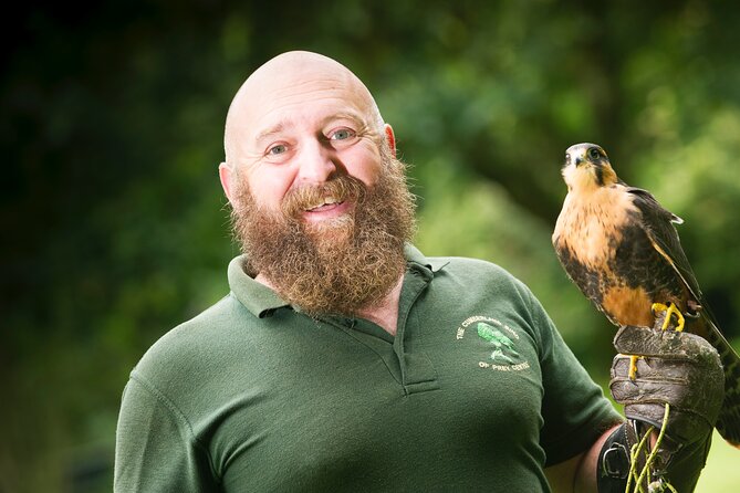 Private Family Bird of Prey Experience in Carlisle - Private and family-only, so you are not rushing