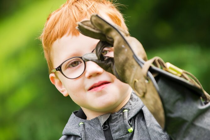 Private Family Bird of Prey Experience in Carlisle - Key facts that make this experience work in real life