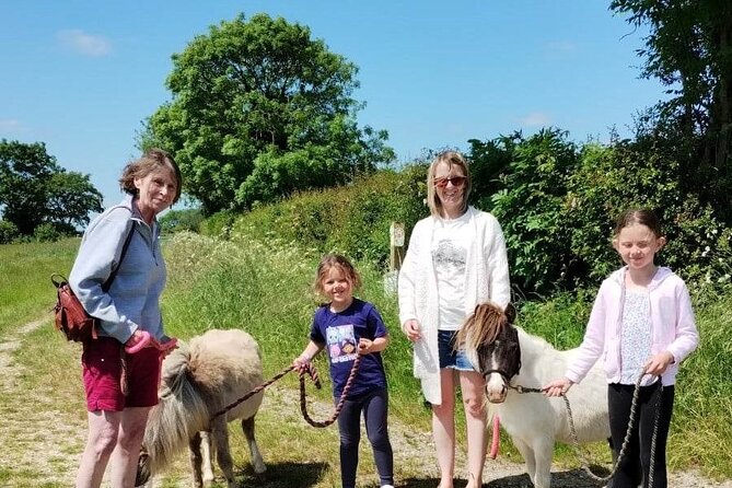 Private Miniature Horse Walking near Lincoln - Key highlights to look for