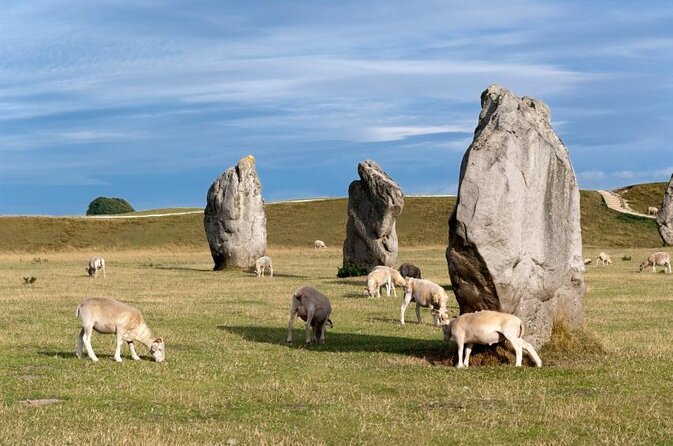 Private Stonehenge, Woodhenge, Avebury Stone Circle Day Tour - The minivan, pickup, and 9-hour rhythm you should expect