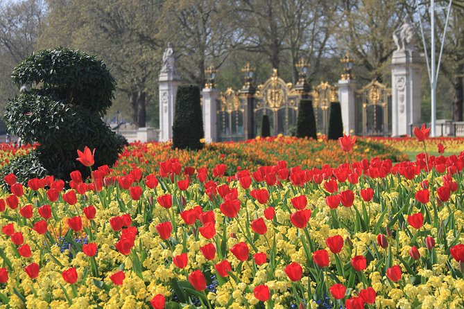 Private Tour, Entry to Westminster Abbey and London Highlights - St James’s Park: Birds, kids, and a needed breather