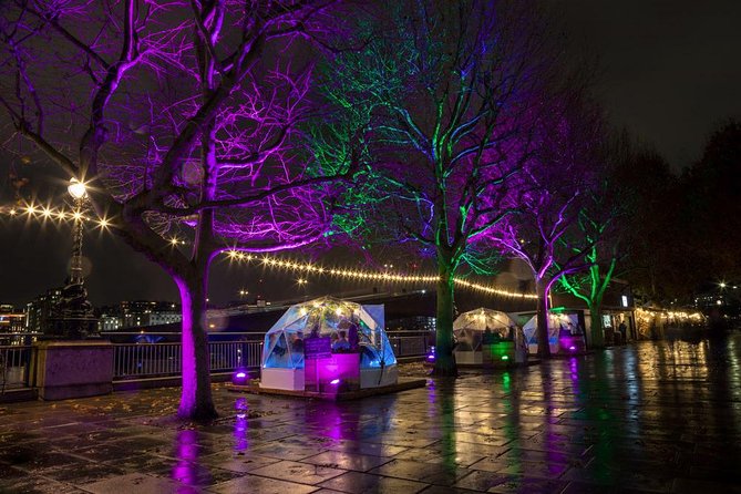 Private Tour: Night Photography Tour in London - South Bank first: Big Ben, Parliament, and the London Eye skyline