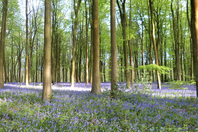 Private Tour of Quintessential Wiltshire and Cotswold Villages - Lacock: where film vibes meet the real story of photography