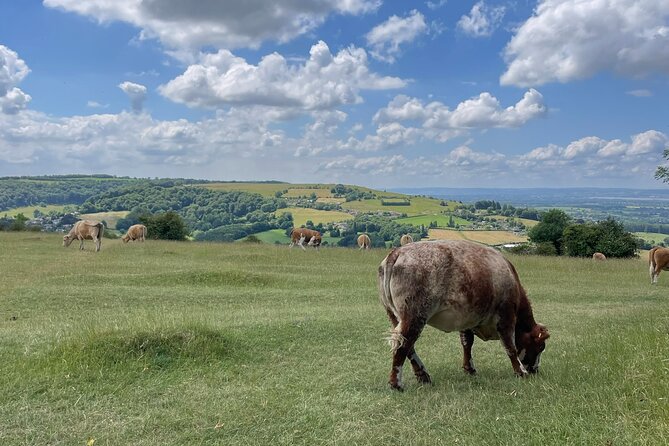 Private tour of the stunning Cotswolds with an expert local guide - Comfort, timing, and photo-help tips that make the day easier