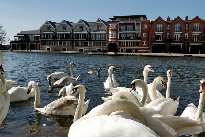 Private Windsor Roundtrip Transfer from London - A private Windsor day with real London-to-royal ease