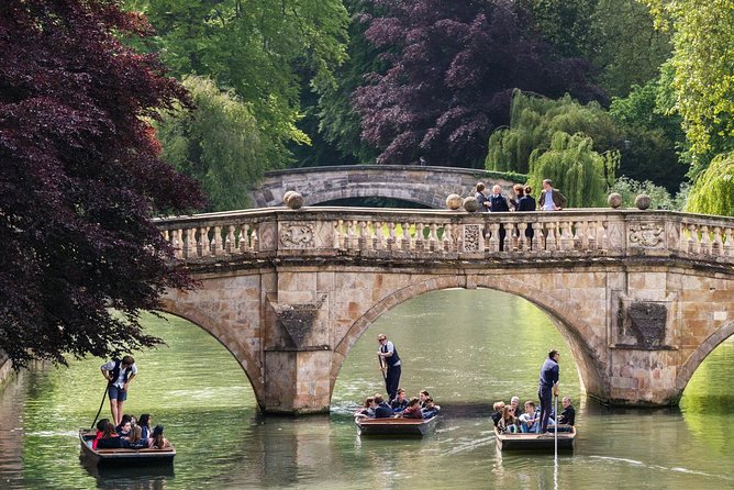 Punting Tour in Cambridge - Who This Scudamores Punting Tour Is Best For