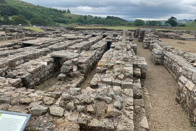 Romans and Hadrian's Wall Day Tour - Vindolanda: the writing tablets that make Roman life feel personal