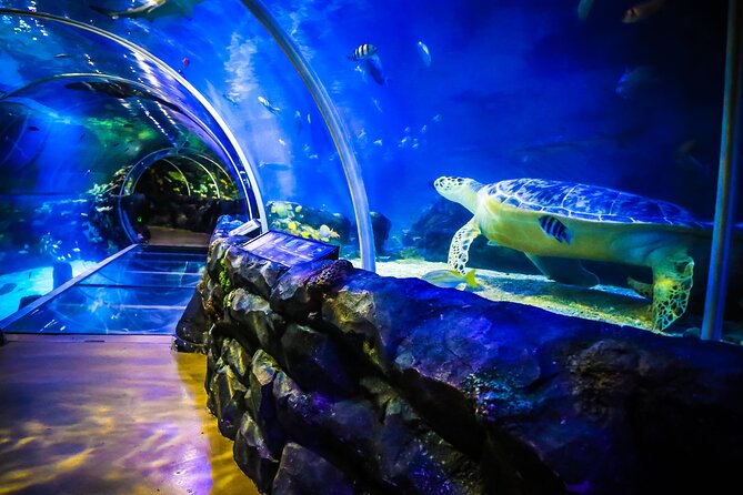 SEA LIFE Birmingham Admission Ticket - Where this SEA LIFE ticket fits in your Birmingham day