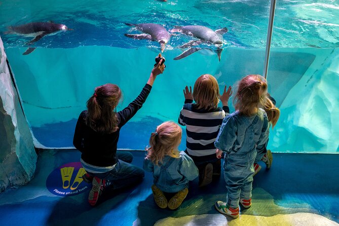 SEA LIFE Birmingham Admission Ticket - The 360° Ocean Tunnel: sharks, rays, and a green sea turtle