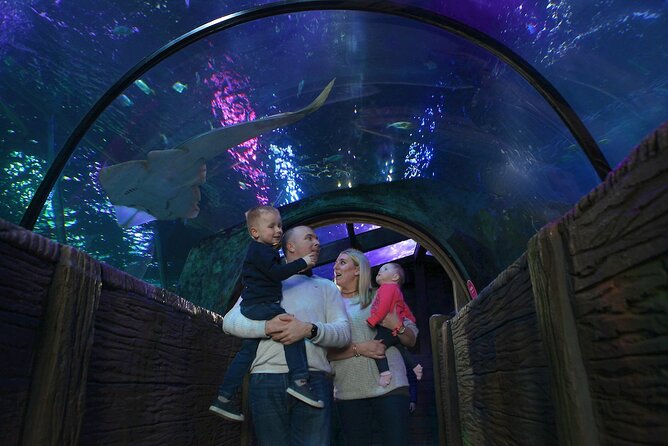 SEA LIFE Blackpool Admission Ticket - Key highlights you will actually use