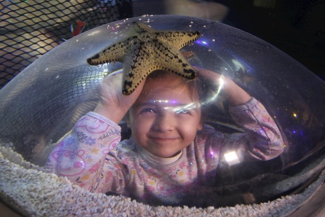 SEA LIFE Blackpool Admission Ticket - Ocean walk-through tunnel and the shark tank built over 25 years