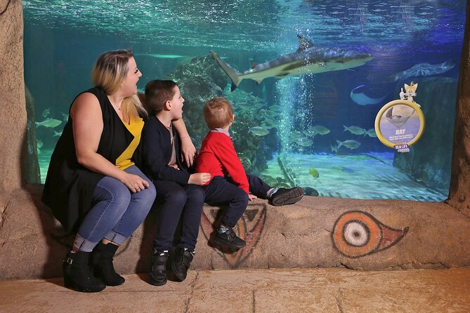 SEA LIFE Blackpool Admission Ticket - New for 2017: the Sea Stars displays with window views