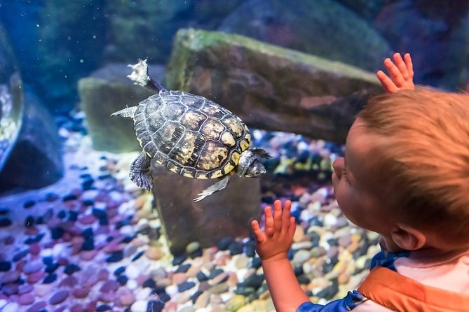 SEA LIFE Brighton Admission Ticket - Getting In Fast at SEA LIFE Brighton’s Victorian Arcade Entrance