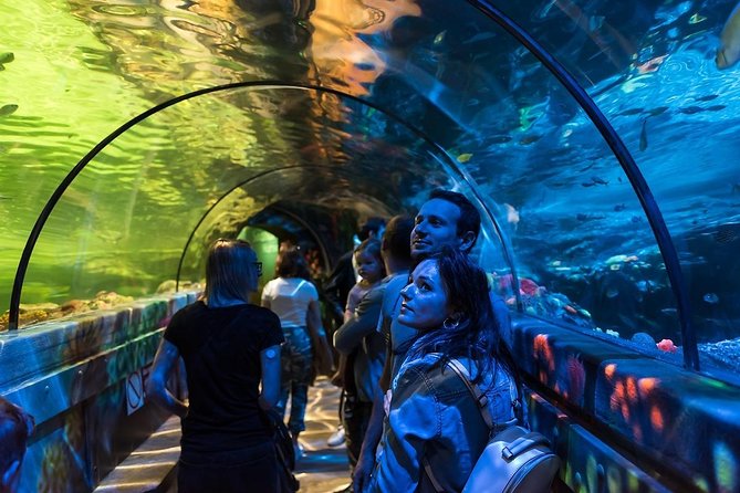 SEA LIFE Brighton Admission Ticket - Seahorses Up Close, Plus That Finger-Clicking Sound